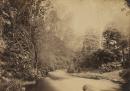 Bend of the River Watt