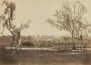 View of a Victorian sheep station