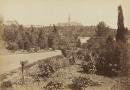 Scene in the Melbourne Botanical Gardens