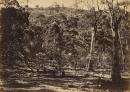 Interior of the crater at Mount Franklin