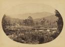 Scene near the Buffalo Mountains