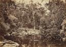 Crystal Brook, in the Cape Otway Ranges