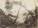 Near Mount Victoria, Sydney