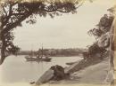 Lower Walk, Domain, Sydney