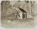 Splitter's hut, Morley's Track, Fernshawe