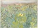 Succulent, La Perouse