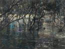 Mangroves, Kurnell Peninsula