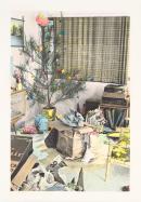 No title (Unwrapped Christmas presents under the Christmas tree)