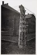 Fragments of the fencing