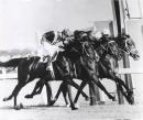 No title (Triple dead-heat - Winners of the Hotham Handicap, Flemington, 3rd November, 1956)