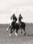 Polo, Clea