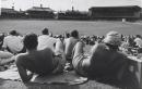 Sydney Cricket Ground from The Hill