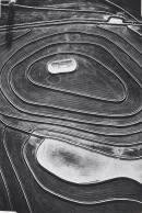 Contoured rice field, New South Wales