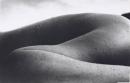Landscape nude - 1