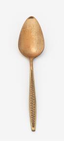 Spoon