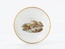 SAUCER
