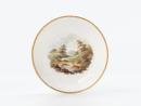 SAUCER
