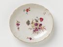 Dish