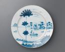 Dish
