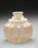 Ferns, vase