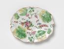 Dish