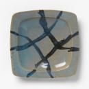 Dish