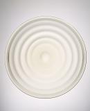 Dish