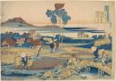 Autumn ricefields