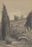 View of the Station Plenty, Port Phillip district (VIII Cypress and steps)