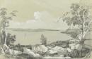 Swan Bay