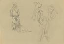 TV drawing: Rounding up the wild camels