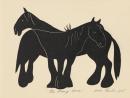The wrong horse