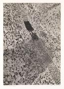Shadow drawing I