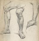 Studies of limbs