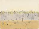 Weipa landscape (1)
