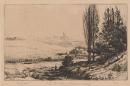 The two poplars (Travancore Estate)