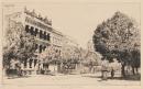 The trees, Collins St East
