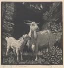 White goats