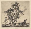 Ironbark