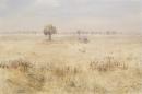She-oak paddock, Wimmera