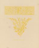 F initial and final: fabricia levighata