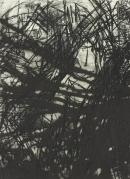 Language and chaos II