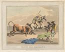Charge made by the bull