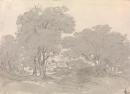 Landscape with trees