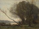 The bent tree
