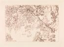Aesacus and Hesperie (Liber Studiorum)