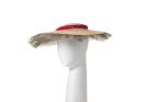 Picture hat