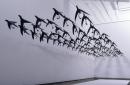 The birds