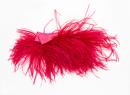 Headpiece