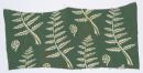 Fern